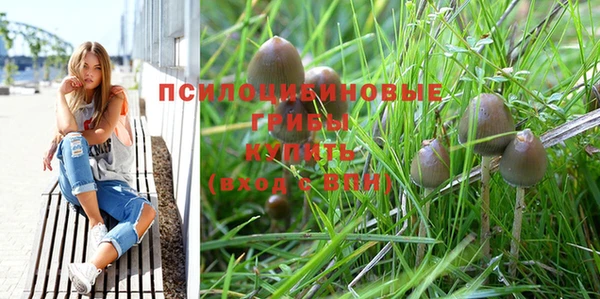 Альфа ПВП Карталы