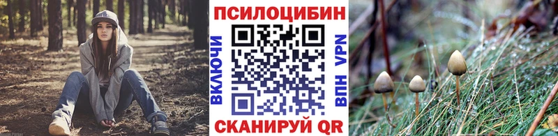 Галлюциногенные грибы мицелий Можга